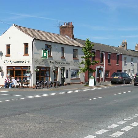 The Sycamore Tree Longtown Eksteriør billede